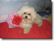 To je otrava takhle p�zovat