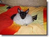 Autogramy a� na leti�ti!!!