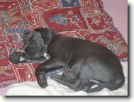 jsem n�jak� ospal�