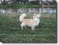 Na proch�zce u �eky