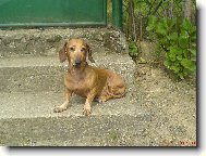 Betulinka na chate�ce...