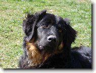 Max - 7 m�s�c�