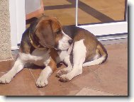 Vyh��v�m se....