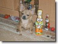 kdo je v�t�� ja nebo on?