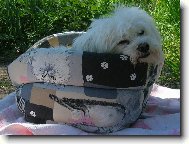 V pel�ku mi je nejl�pe..