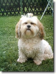 m�j pejs�nek Lucinka