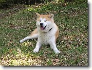 Pot�ebuju se trochu vyd�chat-je horko!