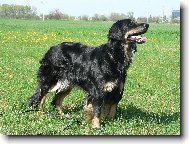 Aranka ze Slezsk� ho�iny