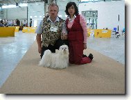 Na�i v�stavn�  mil��ci