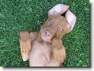 N� bl�zniv� Sany