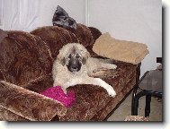 Aranka z Pr�che�sk�ho kraje