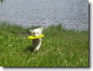 Kdy� tal�� zal�tne do vody... Meg ho p�inese...