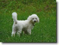 Danny na proch�zce