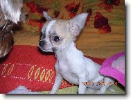 �ivav� sle�na M�jinka