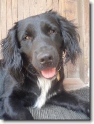 Muuj mal� sunnynek