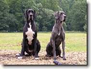 bez koment��e...