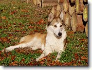 Akrym z Malinovsk�ho �dol�