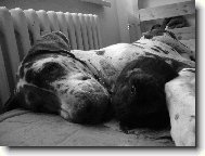 Leidynka s kamar�dkou :0)