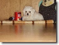 d� si se mnou n�kdo k�vu?