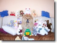 poj�te si se mnou hr�t