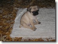 U� trochu vyrostla