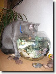 Max dodr�uje pitn� re�im