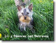 Lili vonku na prech�dzke