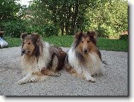 Moj� mil��ci :)