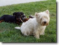 Po�kej a� vyrostu!!!!