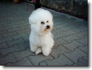 u� m� bol� no�i�ky