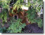 hra na schov�vanou