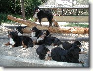 Rad�kov 07 - sme�ka:))