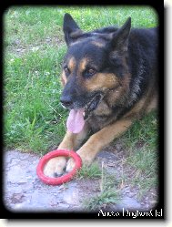 Ov��k s obl�benou hra�kou