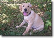 schov�v�m se p�ed slun��kem