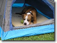 Na�e beru�ka ve stanu