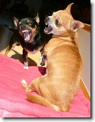 "M�me se stra�n� moc r�di!"