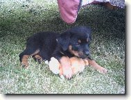 Na�e 7-t�denn� rotv��e