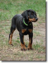 8. t�den �iv�tka=o)