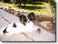 Denny - 20 m�s�c�