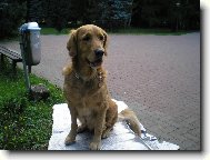 Tak todle je m�j real hafff!