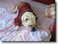 N� nejv�t�� mazel