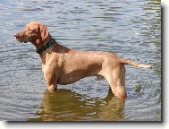 Mates v Hronu stoj�c�...�um�c� :o)