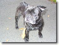 na�e slintac� S�ra