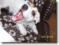 Pozor kou�u!( ale zat�m jen papu�e)