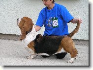 NIGHT QUEEN QUEEN�S HERMEL�N