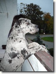 Woody 7.m�s�c�