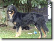 Andy od Vltavsk�ho jezu