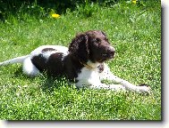 Atos - 5 m�s�c�