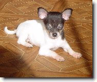 mal� a �ikovn�