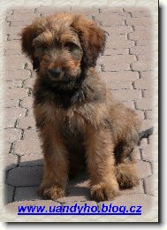 �ja - www.uandyho.blog.cz